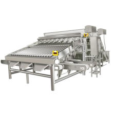 Shrimp And Fish Grading Machine